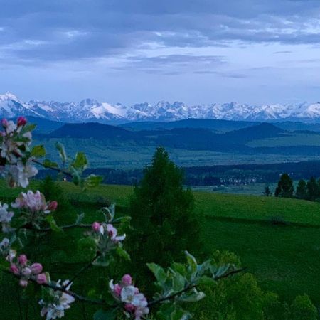 Koza U Woza Wypocznij W Gorach W Rytmie Slow Drewniany Dom Premium Z Widokiem Na Panorame Tatr Ecospa Strefa Fitness Zielona Farma Warsztaty (Adults Only) Szlembark ภายนอก รูปภาพ