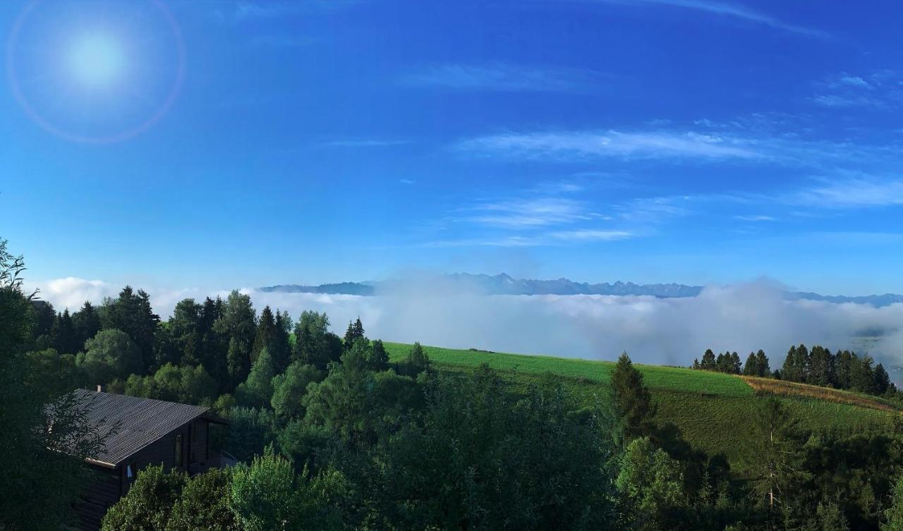 Koza U Woza Wypocznij W Gorach W Rytmie Slow Drewniany Dom Premium Z Widokiem Na Panorame Tatr Ecospa Strefa Fitness Zielona Farma Warsztaty (Adults Only) Szlembark ภายนอก รูปภาพ