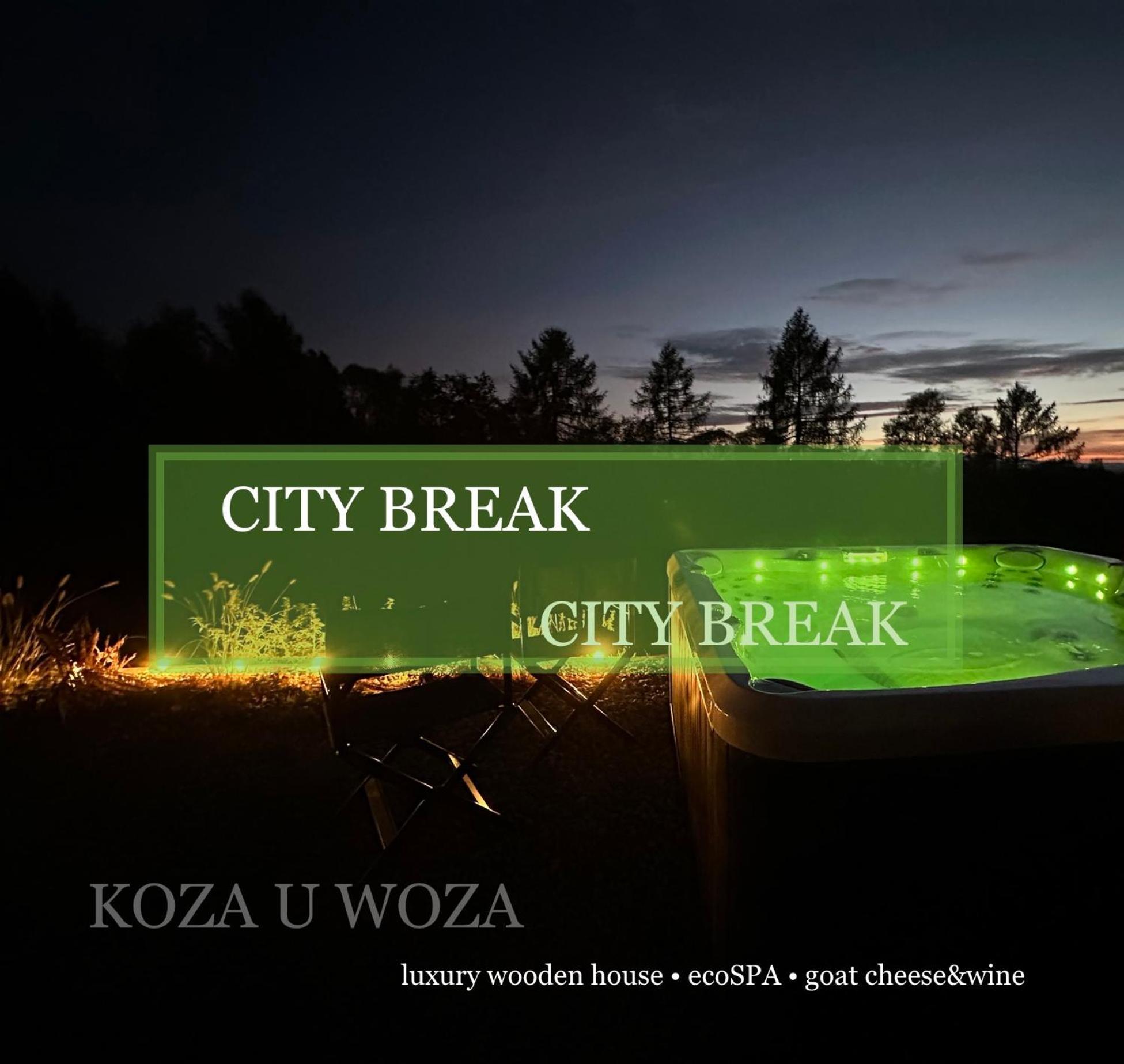 Koza U Woza Wypocznij W Gorach W Rytmie Slow Drewniany Dom Premium Z Widokiem Na Panorame Tatr Ecospa Strefa Fitness Zielona Farma Warsztaty (Adults Only) Szlembark ภายนอก รูปภาพ