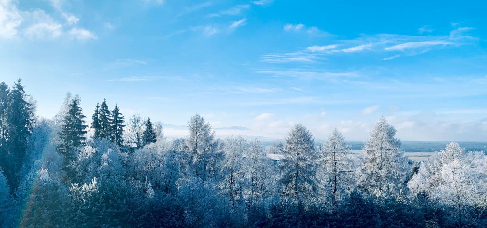 Koza U Woza Wypocznij W Gorach W Rytmie Slow Drewniany Dom Premium Z Widokiem Na Panorame Tatr Ecospa Strefa Fitness Zielona Farma Warsztaty (Adults Only) Szlembark ภายนอก รูปภาพ