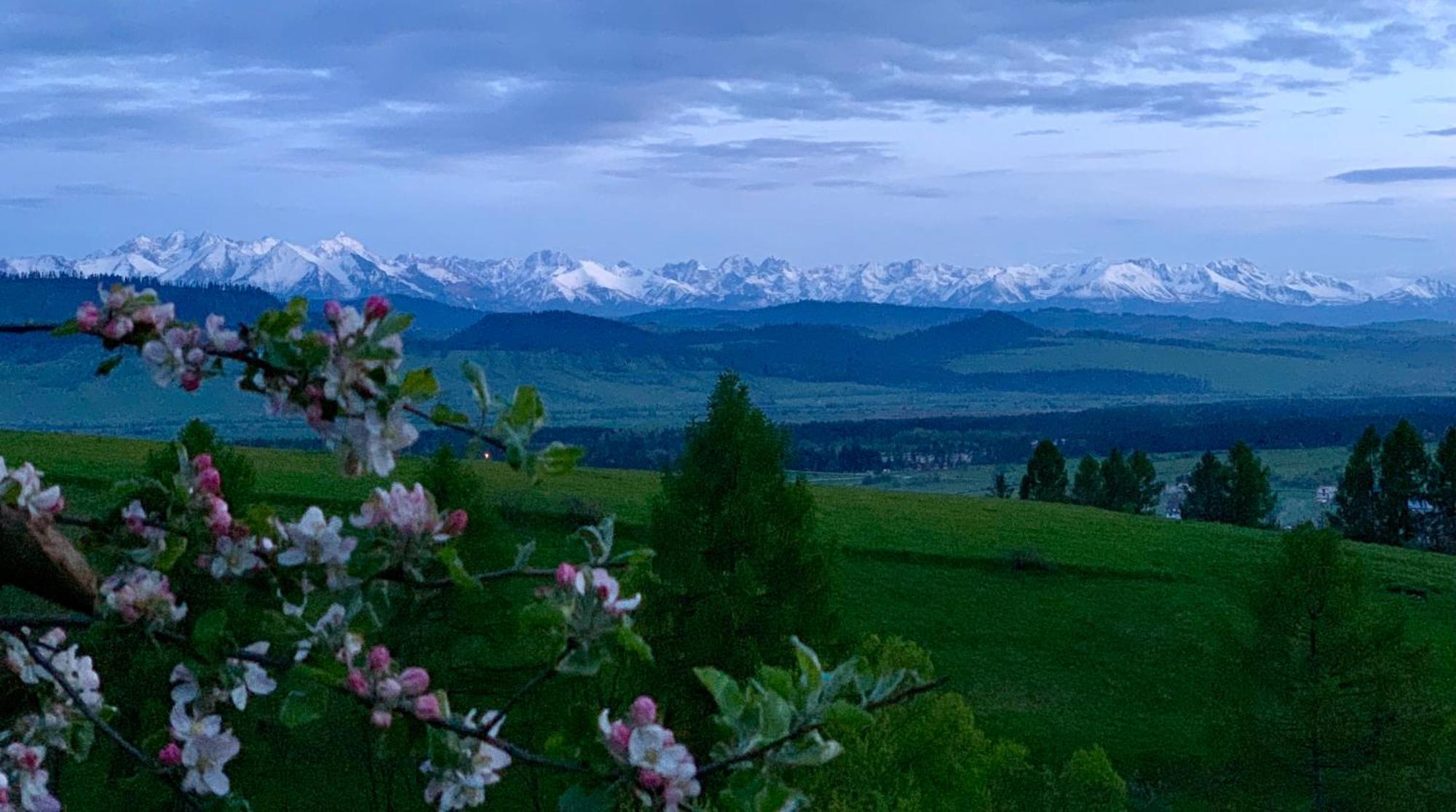 Koza U Woza Wypocznij W Gorach W Rytmie Slow Drewniany Dom Premium Z Widokiem Na Panorame Tatr Ecospa Strefa Fitness Zielona Farma Warsztaty (Adults Only) Szlembark ภายนอก รูปภาพ