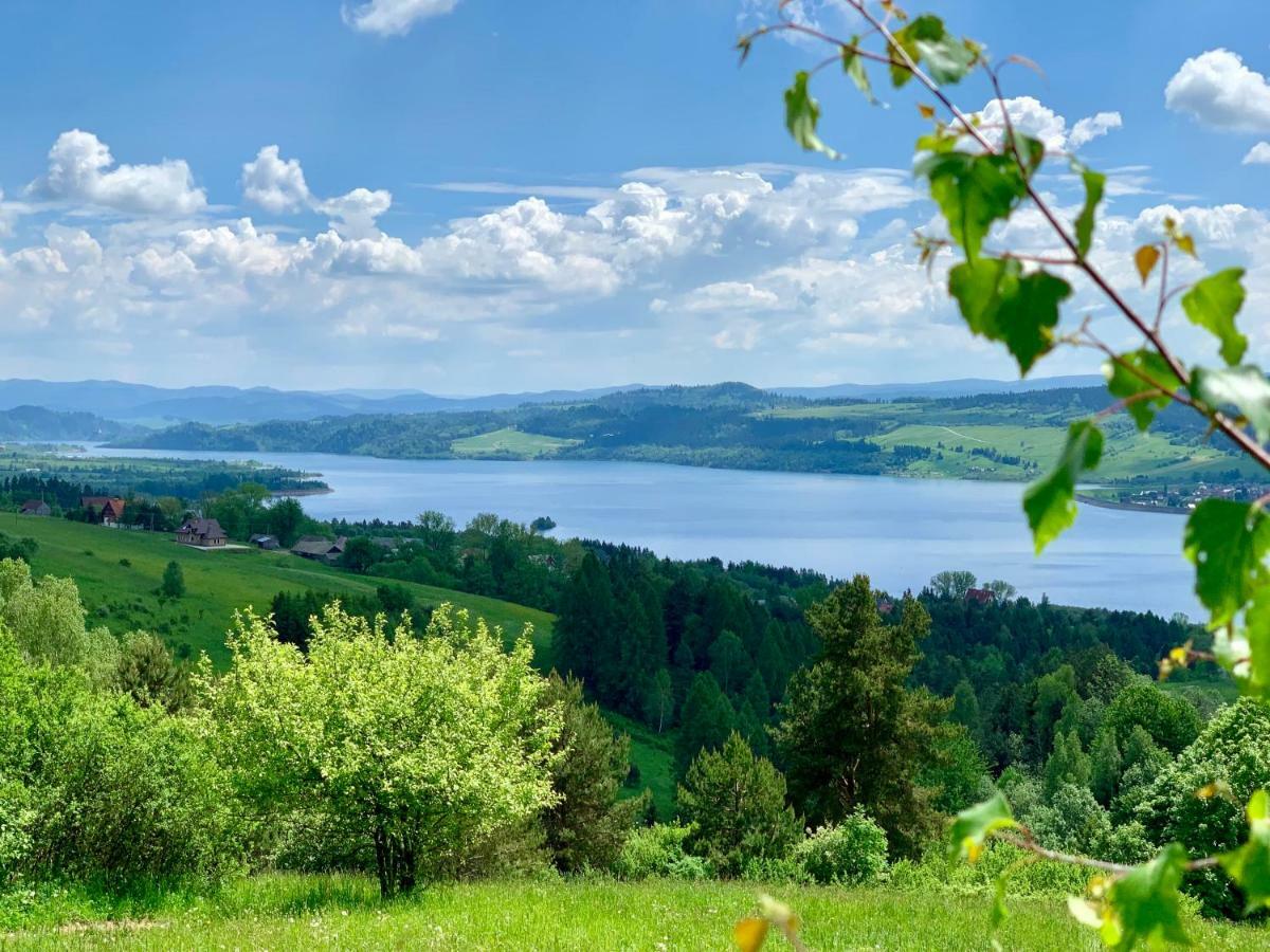 Koza U Woza Wypocznij W Gorach W Rytmie Slow Drewniany Dom Premium Z Widokiem Na Panorame Tatr Ecospa Strefa Fitness Zielona Farma Warsztaty (Adults Only) Szlembark ภายนอก รูปภาพ